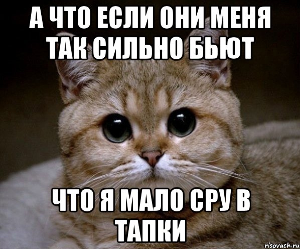 А что если они меня так сильно бьют что я мало сру в тапки, Мем Пидрила Ебаная