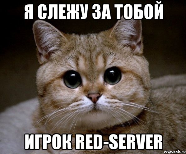 Я слежу за тобой Игрок Red-Server, Мем Пидрила Ебаная