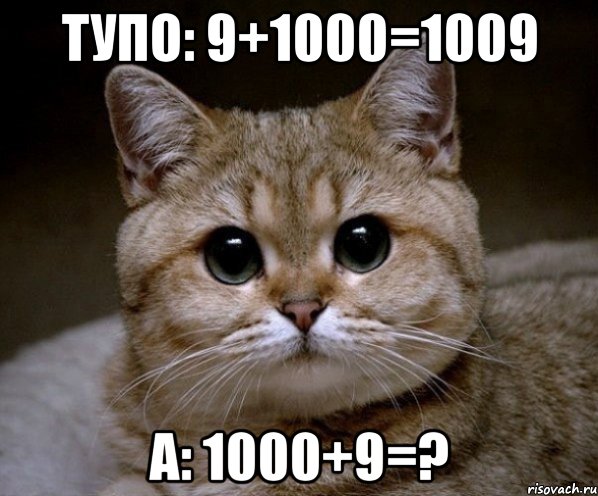 Тупо: 9+1000=1009 А: 1000+9=?, Мем Пидрила Ебаная