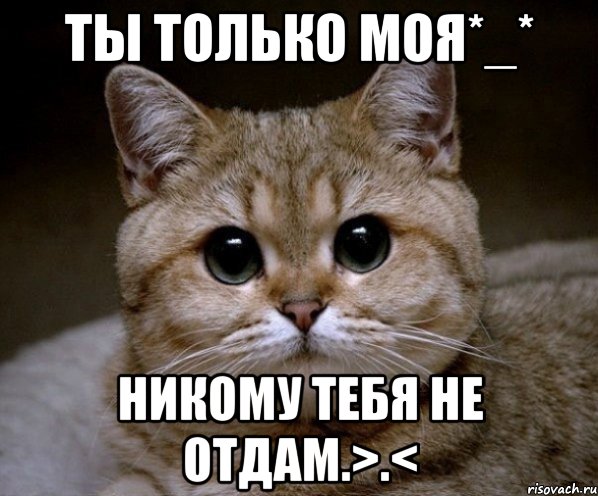 Ты только моя*_* Никому тебя не отдам.>.<, Мем Пидрила Ебаная