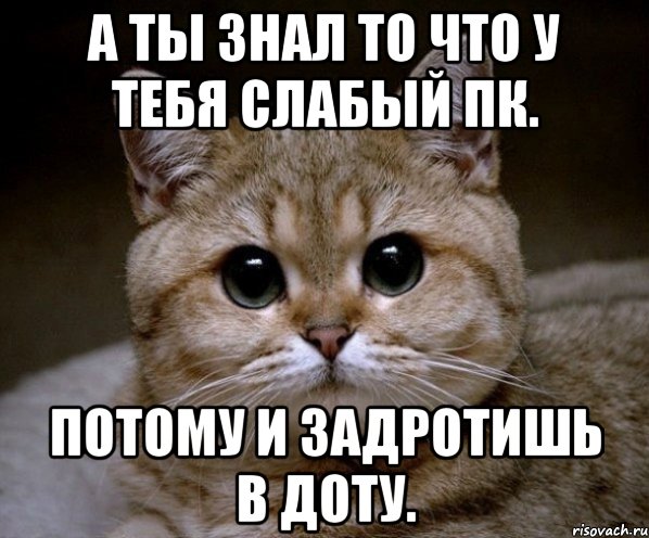 А ты знал то что у тебя слабый пк. Потому и задротишь в доту., Мем Пидрила Ебаная