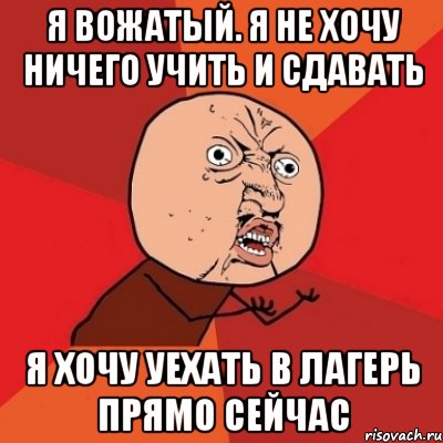 Я вожатый. Я не хочу ничего учить и сдавать Я хочу уехать в лагерь прямо сейчас, Мем Почему