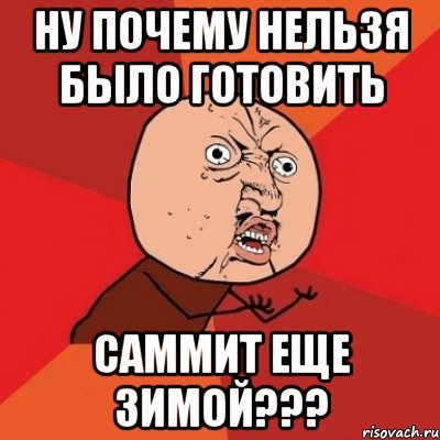 Ну почему нельзя было готовить саммит еще зимой???, Мем Почему