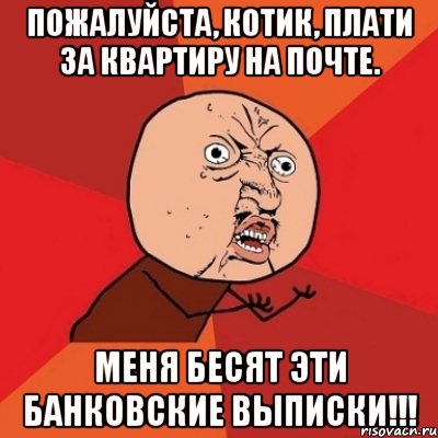 Пожалуйста, котик, плати за квартиру на почте. меня бесят эти банковские выписки!!!, Мем Почему