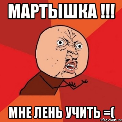 Мартышка !!! Мне лень учить =(, Мем Почему