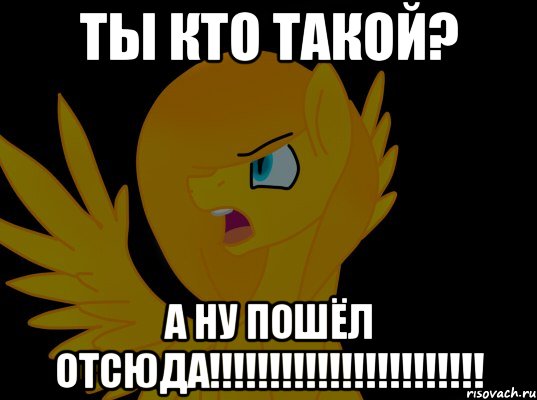 ты кто такой? а ну пошёл отсюда!!!!!!!!!!!!!!!!!!!!!!!, Мем  Пони1