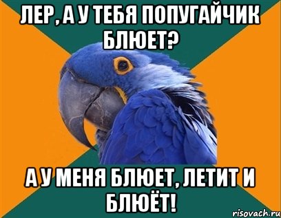 Лер, а у тебя попугайчик блюет? А у меня блюет, летит и блюёт!, Мем Попугай параноик