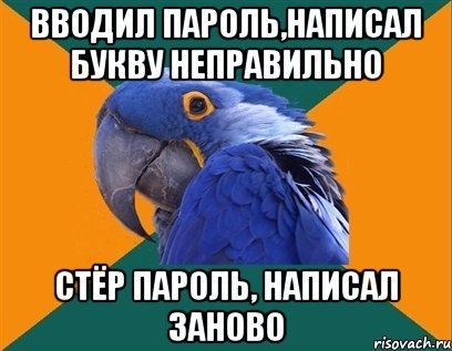 Вводил пароль,написал букву неправильно Стёр пароль, написал заново, Мем Попугай параноик