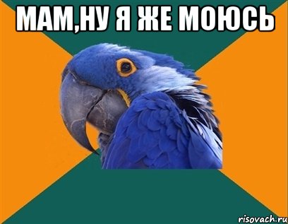 Мам,ну я же моюсь , Мем Попугай параноик