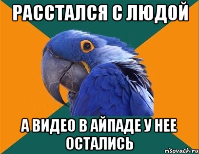 Расстался с Людой а видео в айпаде у нее остались, Мем Попугай параноик