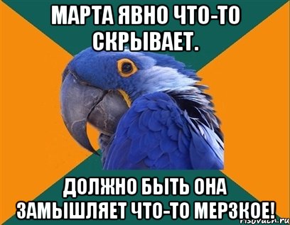 Марта явно что-то скрывает. Должно быть она замышляет что-то мерзкое!, Мем Попугай параноик