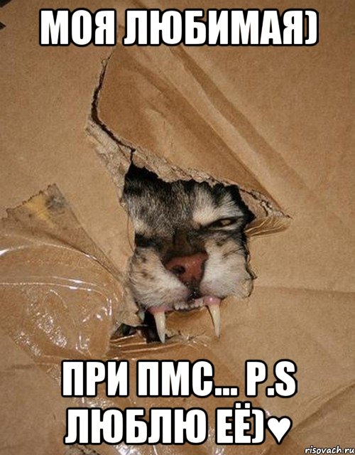 МОЯ ЛЮБИМАЯ) ПРИ ПМС... P.S Люблю Её)♥