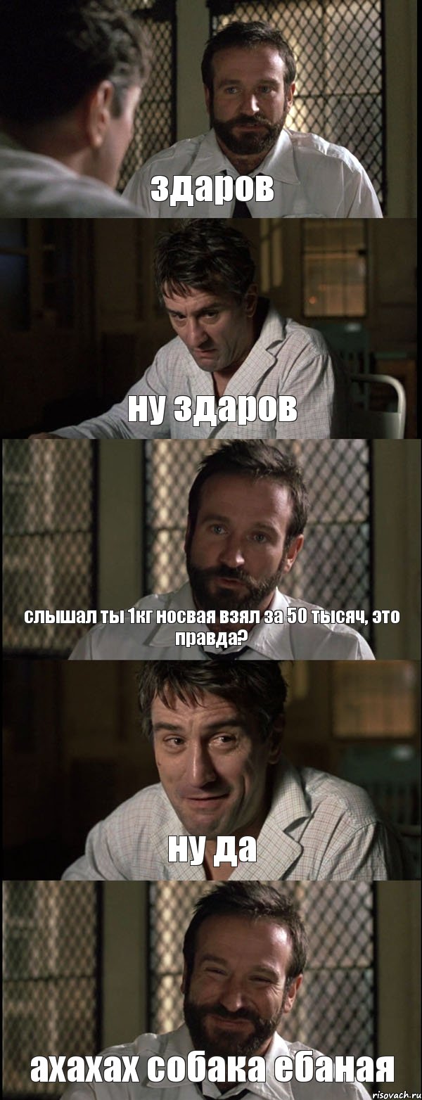 здаров ну здаров слышал ты 1кг носвая взял за 50 тысяч, это правда? ну да ахахах собака ебаная