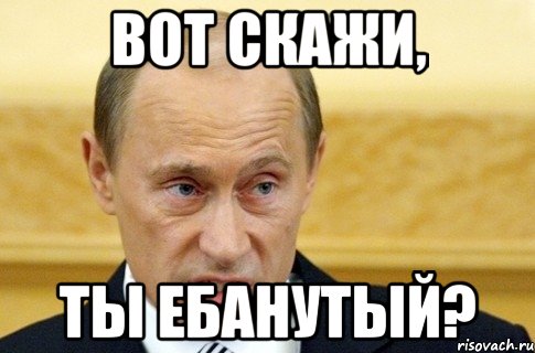 вот скажи, ты ебанутый?, Мем путин