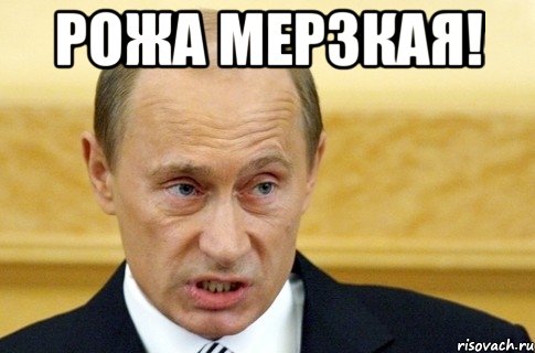 рожа мерзкая! , Мем путин