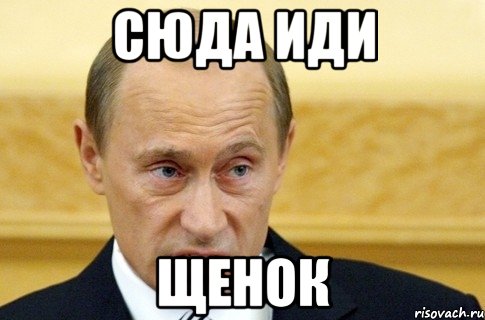 сюда иди щенок, Мем путин