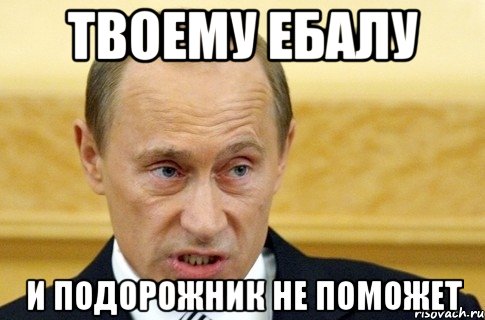 твоему ебалу и подорожник не поможет, Мем путин