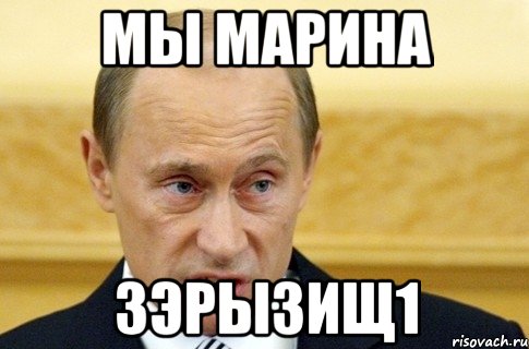 мы марина зэрызищ1, Мем путин