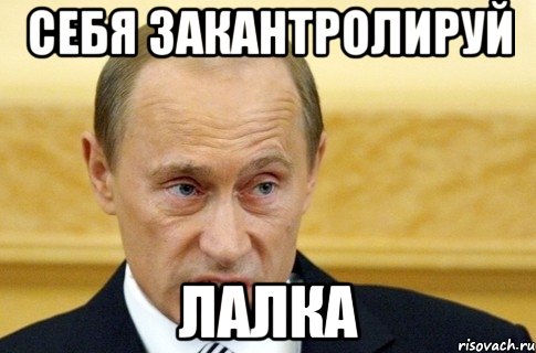 Себя закантролируй лалка, Мем путин