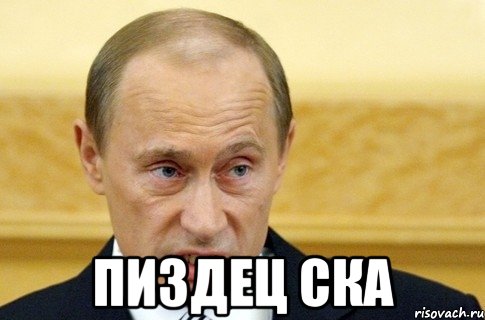  Пиздец ска, Мем путин