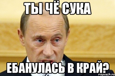 Ты чё сука Ебанулась в край?, Мем путин