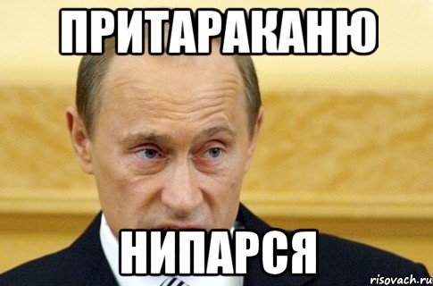 Притараканю Нипарся, Мем путин