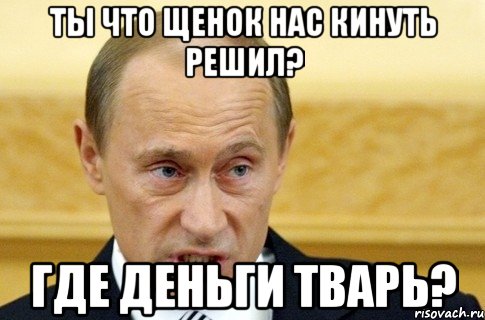 ТЫ ЧТО ЩЕНОК НАС КИНУТЬ РЕШИЛ? ГДЕ ДЕНЬГИ ТВАРЬ?, Мем путин