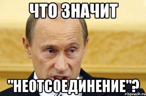 Что значит "Неотсоединение"?, Мем путин