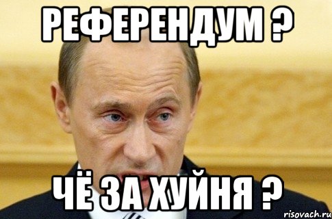 Референдум ? Чё за Хуйня ?, Мем путин