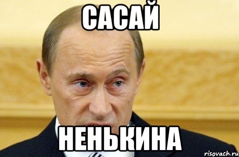 Сасай Ненькина, Мем путин