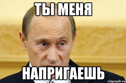 Ты меня Напригаешь, Мем путин