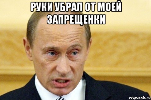 руки убрал от моей запрещенки , Мем путин