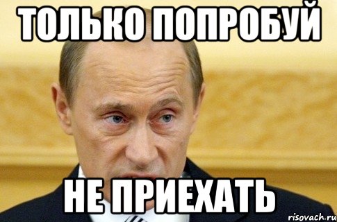 ТОЛЬКО ПОПРОБУЙ НЕ ПРИЕХАТЬ, Мем путин