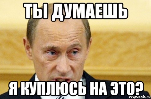 Ты думаешь Я куплюсь на это?, Мем путин