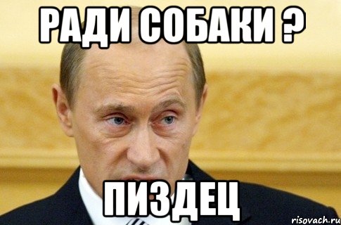 ради собаки ? ПИЗДЕЦ, Мем путин