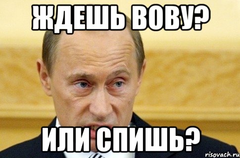 Ждешь Вову? Или спишь?, Мем путин