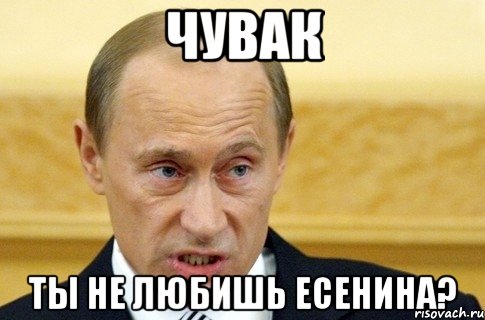 Чувак Ты не любишь Есенина?, Мем путин