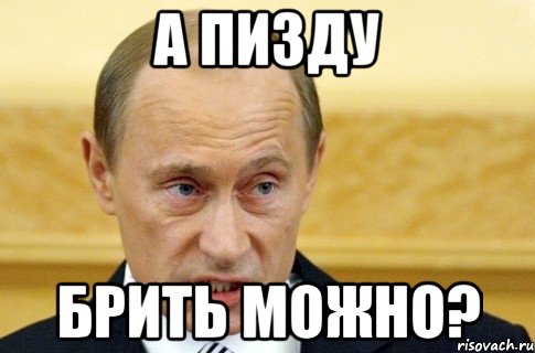 а пизду брить можно?, Мем путин