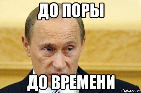 До поры До времени, Мем путин