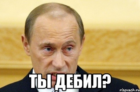  Ты дебил?, Мем путин