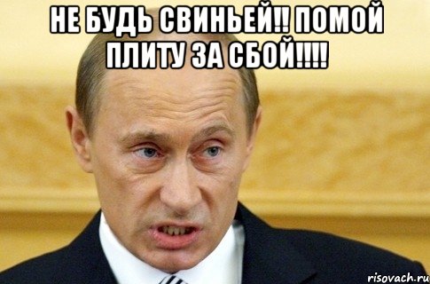 Не будь свиньей!! Помой плиту за сбой!!!! , Мем путин