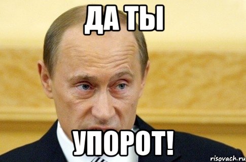 да ты упорот!, Мем путин