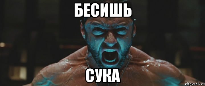 бесишь сука, Мем росомаха