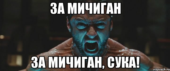 За мичиган за мичиган, сука!, Мем росомаха