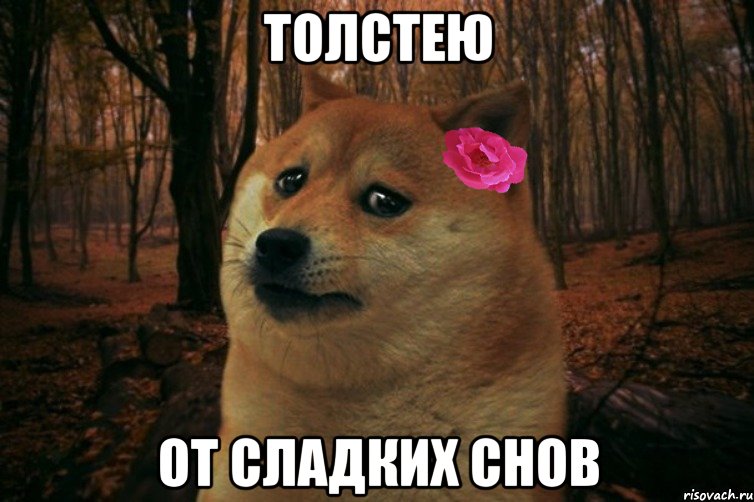 толстею от сладких снов, Мем  SAD DOGE GIRL