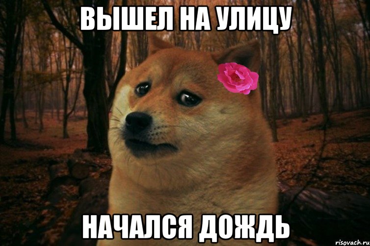 Вышел на улицу начался дождь