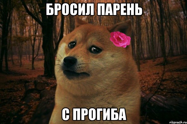 бросил парень с прогиба, Мем  SAD DOGE GIRL