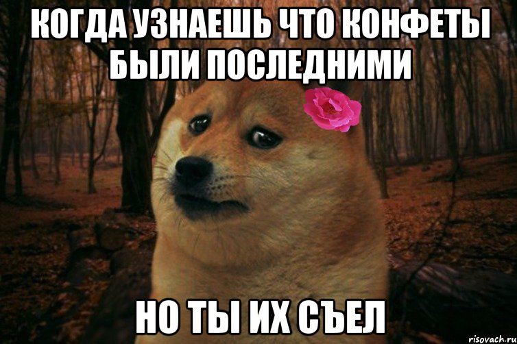 когда узнаешь что конфеты были последними но ты их съел, Мем  SAD DOGE GIRL