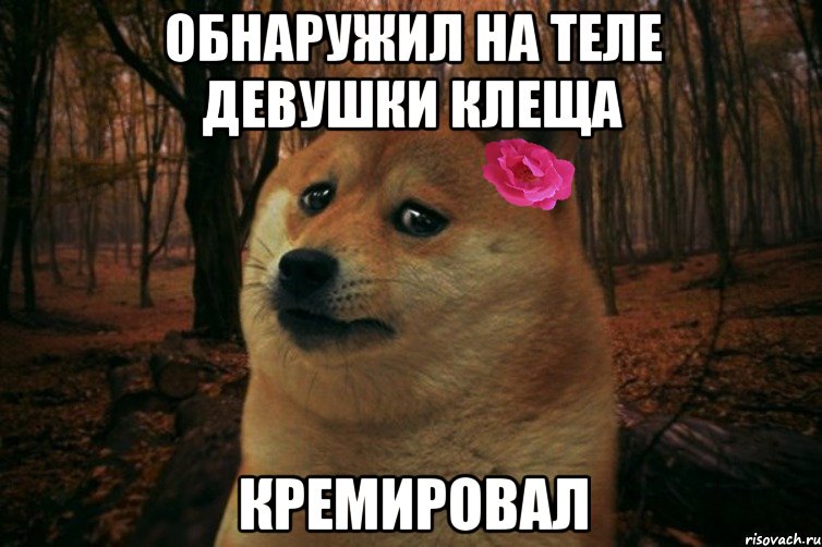 ОБНАРУЖИЛ НА ТЕЛЕ ДЕВУШКИ КЛЕЩА КРЕМИРОВАЛ, Мем  SAD DOGE GIRL