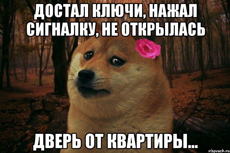 достал ключи, нажал сигналку, не открылась дверь от квартиры..., Мем  SAD DOGE GIRL